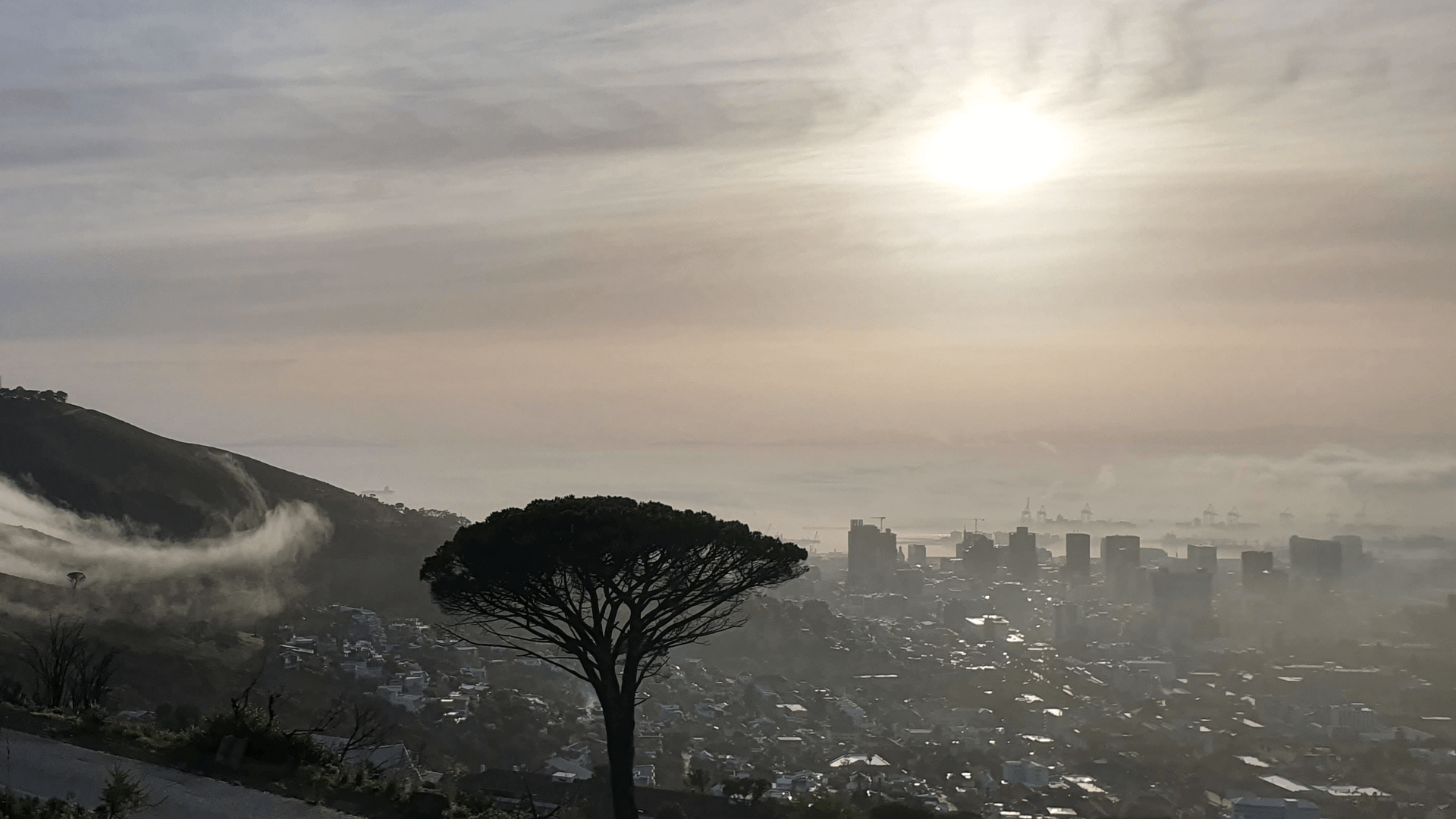 A panoramic view of the city of Cape Town showing, representing the diversity of the city.