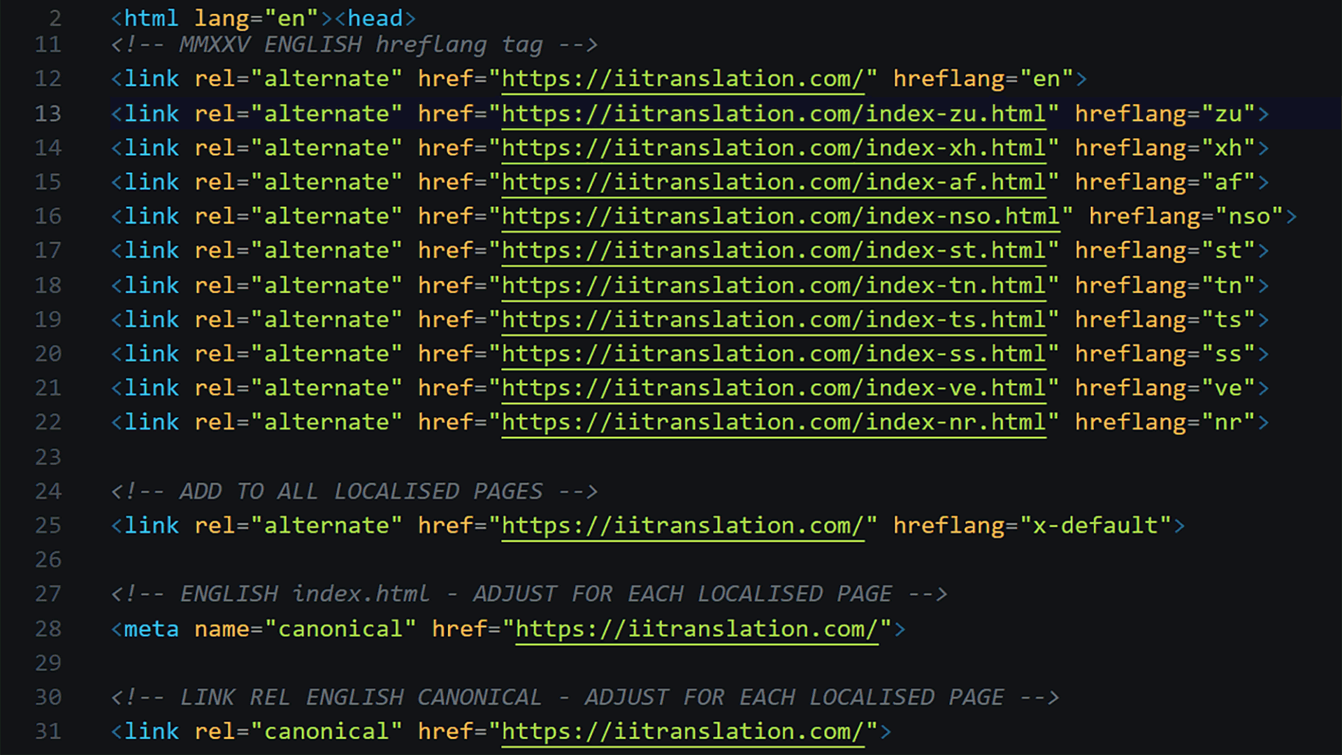 Code showing hreflang implementation for 11 official South African languages on the iiTranslation homepage, proving multilingual SEO compliance.