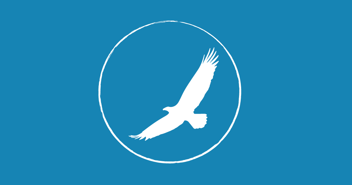 Translation services: 11 South African languages | iiTranslation